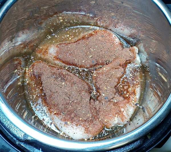 Chicken in instant pot with taco seasoning