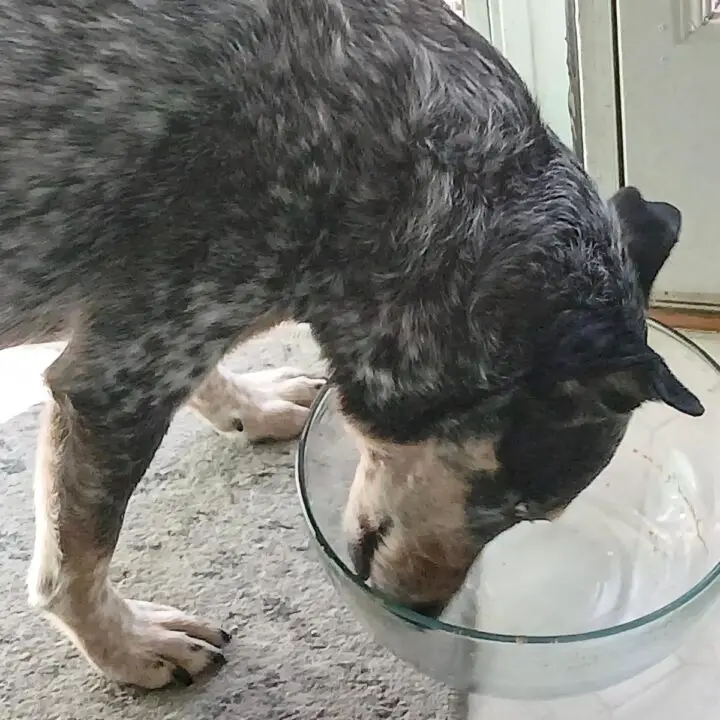 Ash cleans the bowl low sodium sweet potato casserole